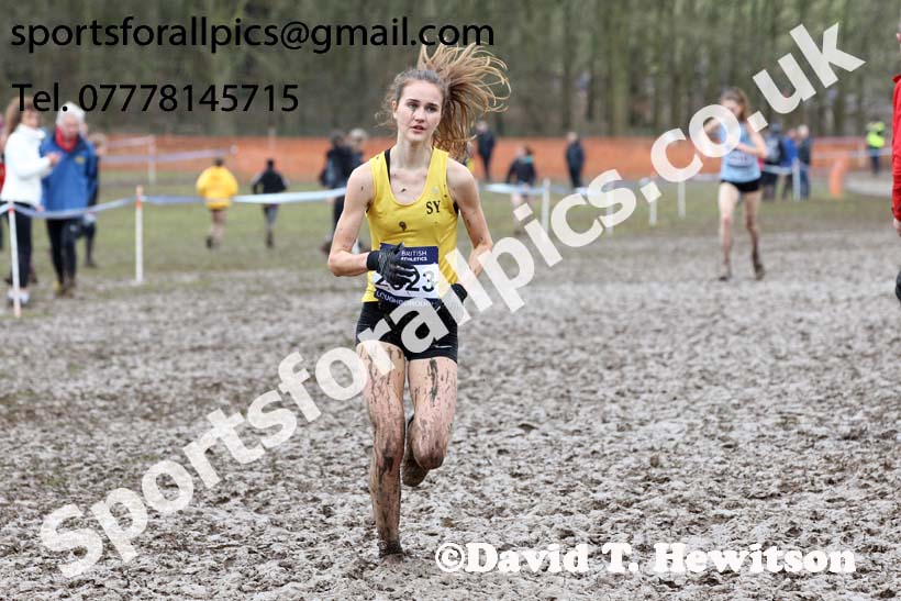 Womens under-20s 2018 British Inter Counties Cross Country Champs., Prestwold Hall, Loughborough. Photo: David T. Hewitson/Sports for All Pics
